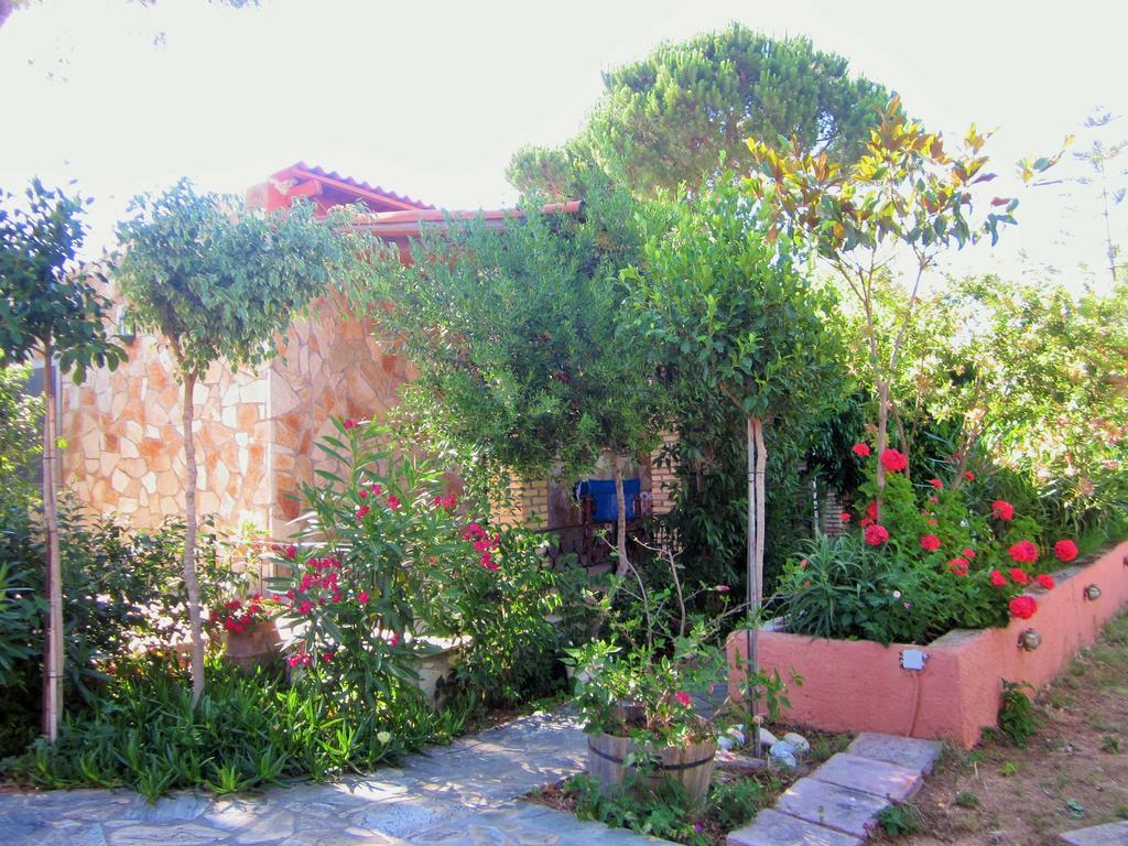 Artemis Vassilikos Aparthotel Vasilikos  Bilik gambar