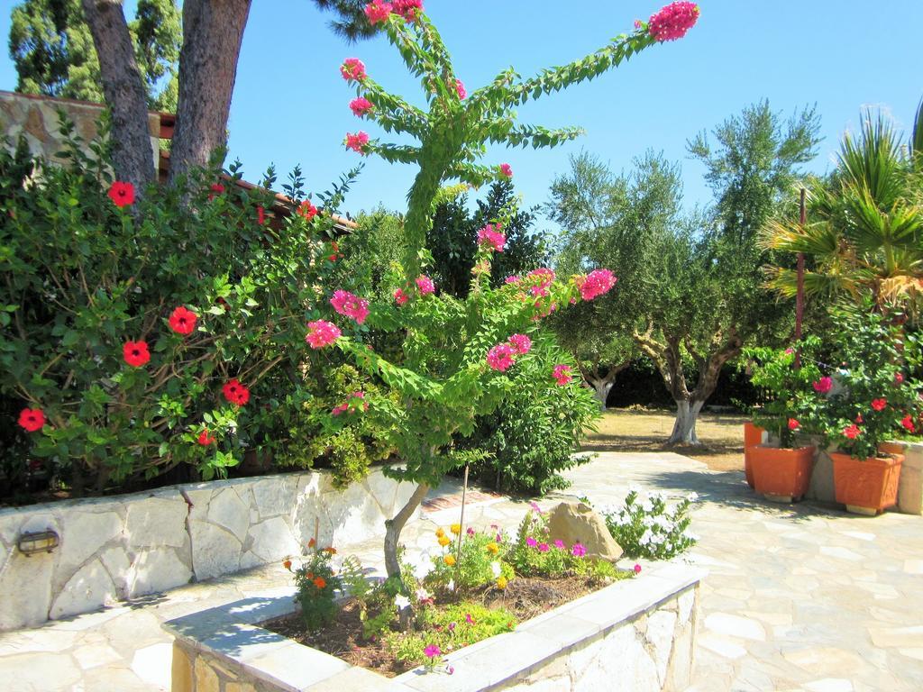 Artemis Vassilikos Aparthotel Vasilikos  Bilik gambar